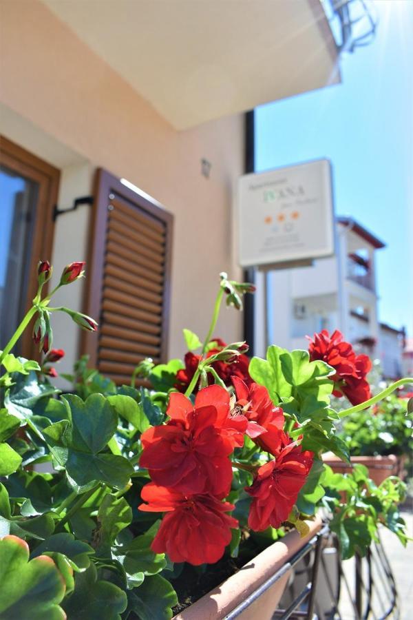 Apartments & Rooms Ivana ロヴィニ 部屋 写真