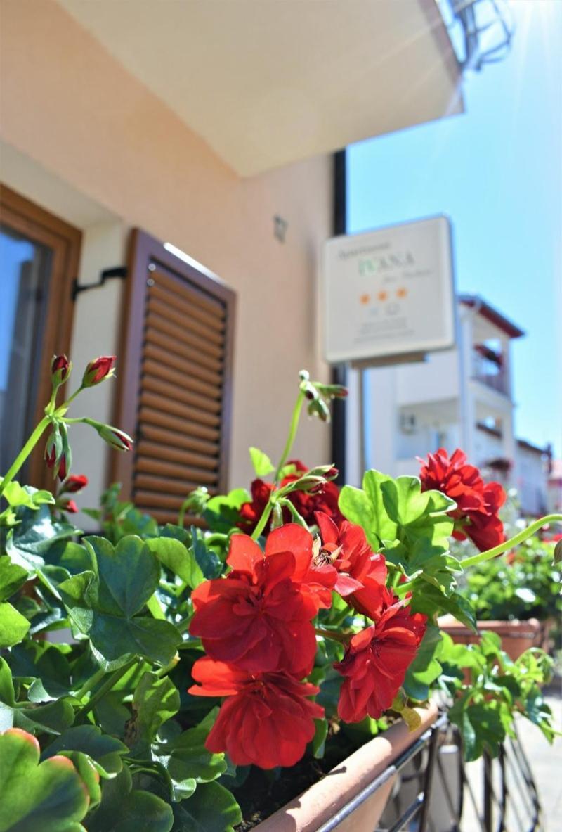 Apartments & Rooms Ivana ロヴィニ 部屋 写真